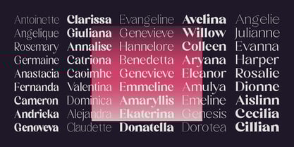 Sharink Font Poster 11