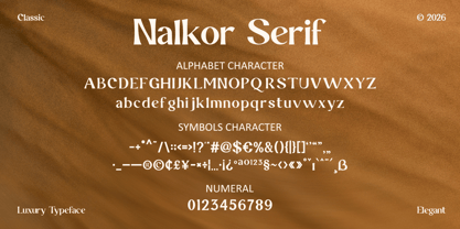 Nalkor Serif Font Poster 6