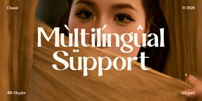 Nalkor Serif Font Poster 3