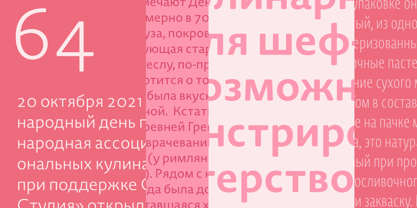 Novel Sans Rounded Cyrillic Font Poster 3