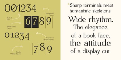 Monch Neue Font Poster 4