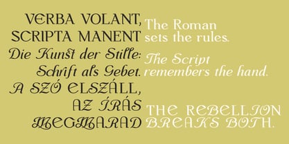 Monch Neue Font Poster 7