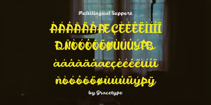 Wionah Fellow Font Poster 11