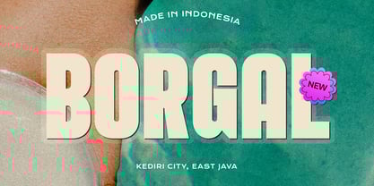 Borgal Font Poster 4