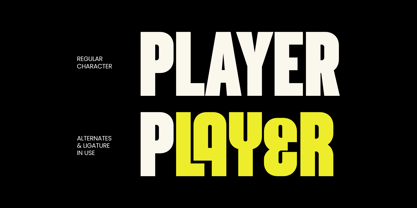 Borgal Font Poster 6