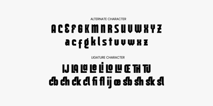 Borgal Font Poster 7