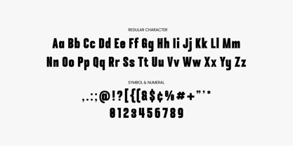 Borgal Font Poster 8