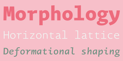 Novel Mono Font Poster 6
