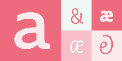 Novel Mono Font Poster 7