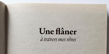 Lebecque Font Poster 13