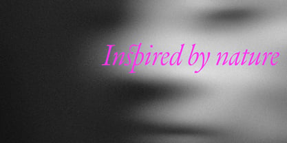 Lebecque Font Poster 15