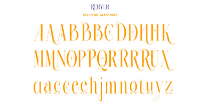 Roelvo Font Poster 11