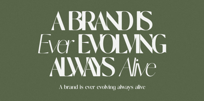 Nisanbel Font Poster 8