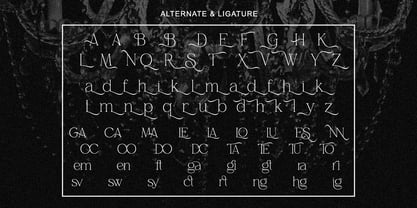 Belvina Font Poster 9