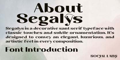 Segalys Font Poster 2