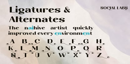 Segalys Font Poster 7