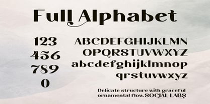 Segalys Font Poster 3