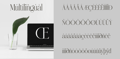 Roliace Font Poster 11