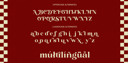Sora Carnel Font Poster 6