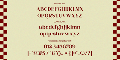 Sora Carnel Font Poster 5