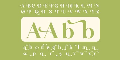 Qoncila Font Poster 11