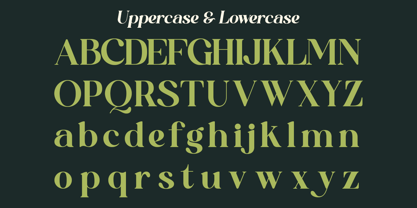 Qoncila Font Poster 12