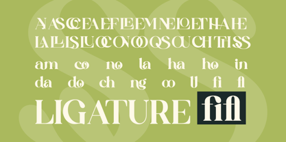 Qoncila Font Poster 9