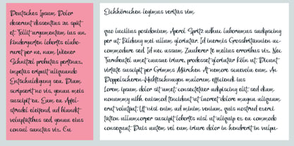 PN Bleautiful Font Poster 3