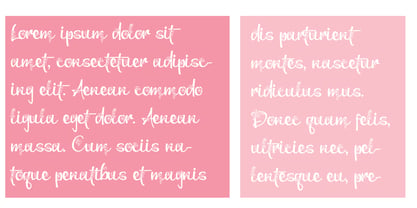 PN Bleautiful Font Poster 6