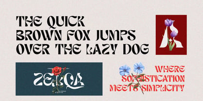 Zelqa Font Poster 3