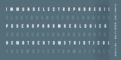 Bikemberg Font Poster 12