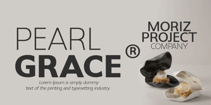 Dafe Ranst Font Poster 5