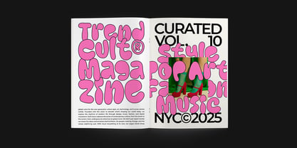Saltyfine Font Poster 5