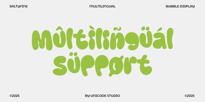 Saltyfine Font Poster 11