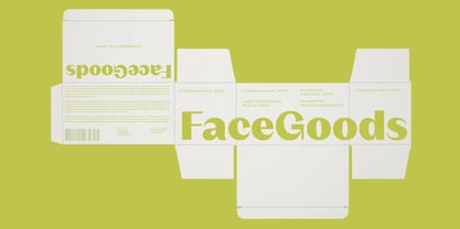Version Font Poster 6