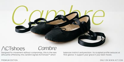 Version Font Poster 5