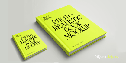Migorta Elegance Font Poster 8