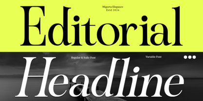 Migorta Elegance Font Poster 6