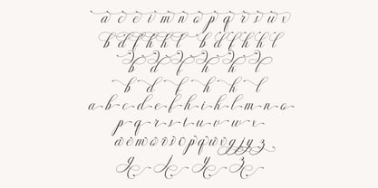 Cynthera Grace Font Poster 4