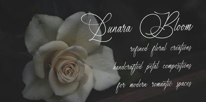 Marseliyon Font Poster 6