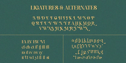 Violetta Estrada Font Poster 11