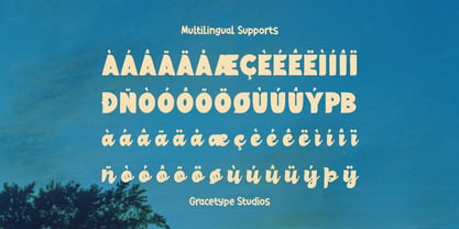 Skypie Summary Font Poster 11