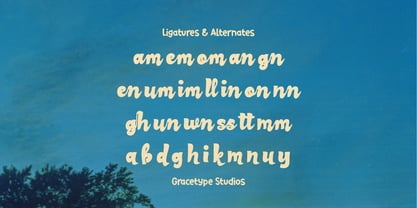 Skypie Summary Font Poster 12