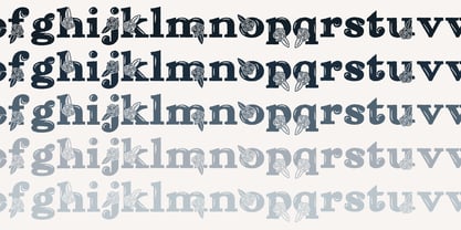 ZP Red Roses Font Poster 4