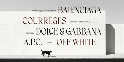 Frenchy Font Poster 2