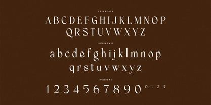 Frenchy Font Poster 9