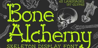 Bone Alchemy Font Poster 1
