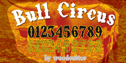 Bull Circus Font Poster 4
