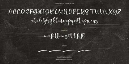 Bristleon Font Poster 9
