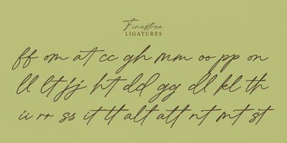 Finestrea Font Poster 7